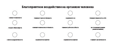 Макет блока Воздействие на организм Шаблон блока